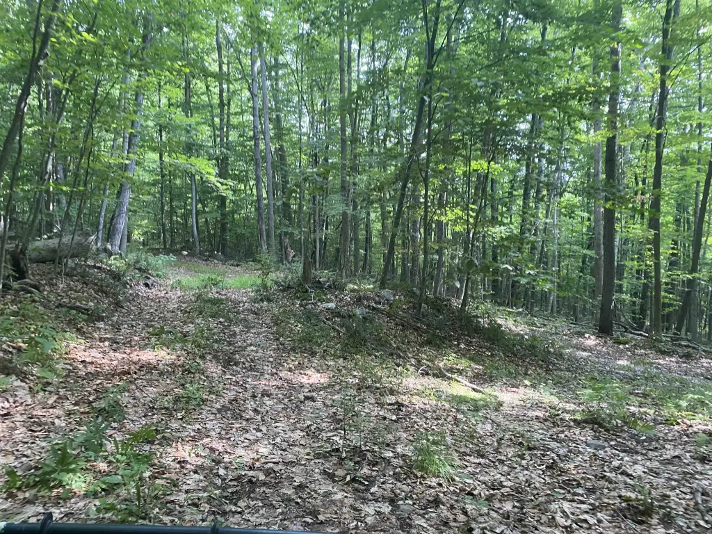 Picture 5