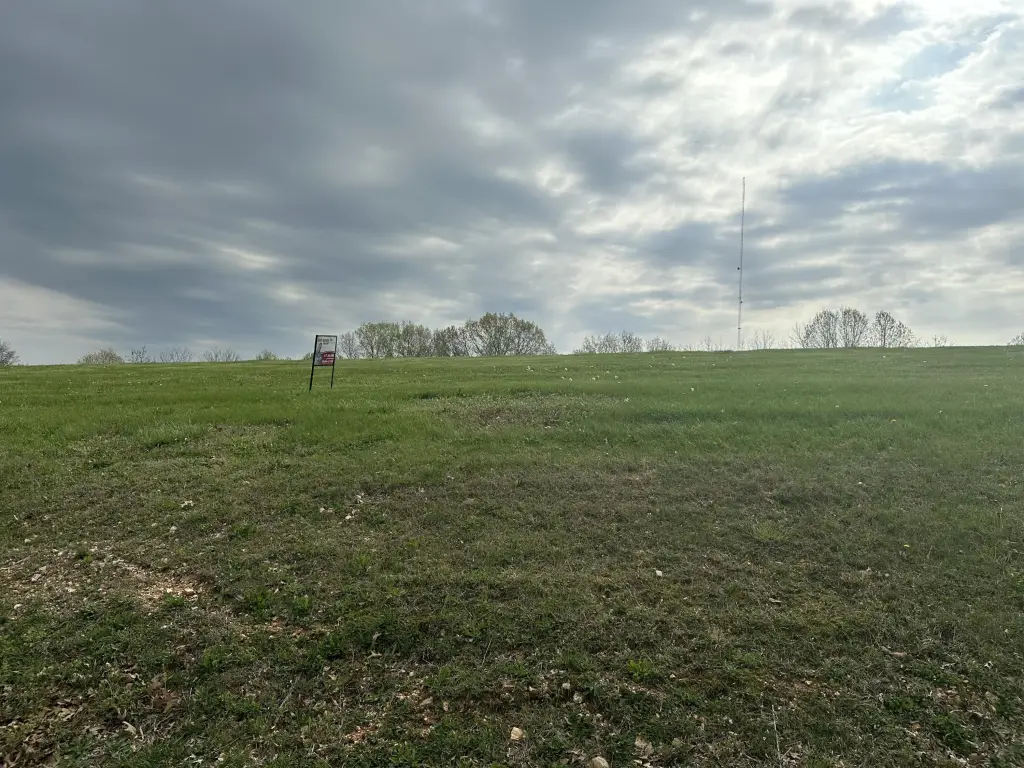 Picture 2