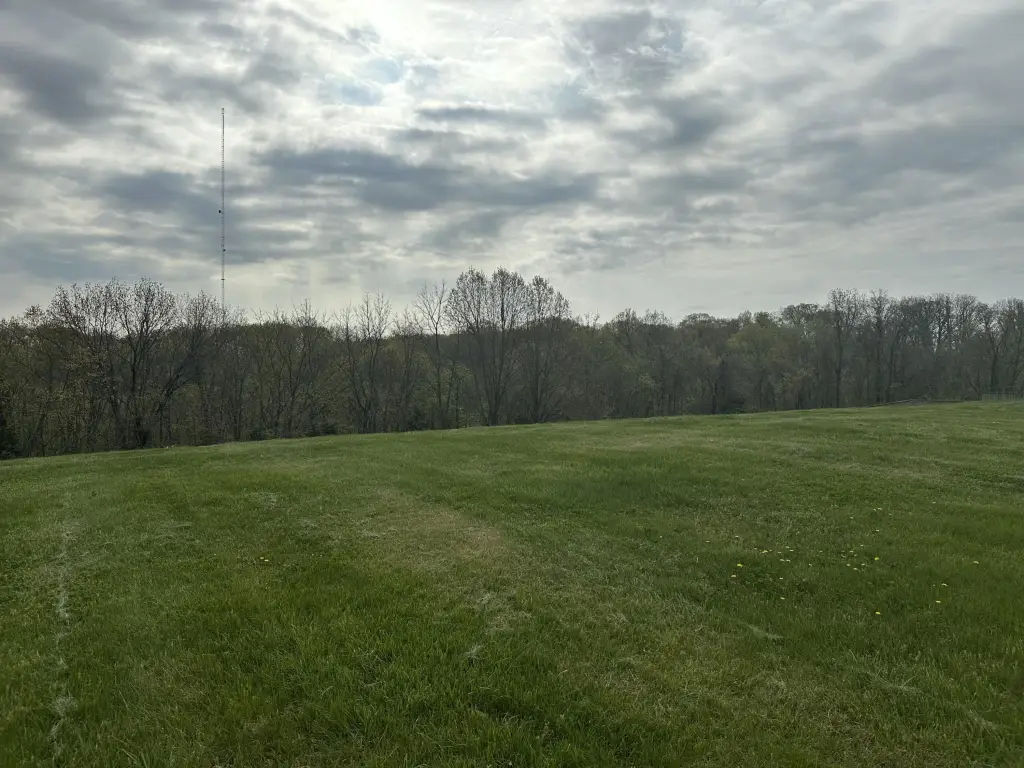 Picture 4