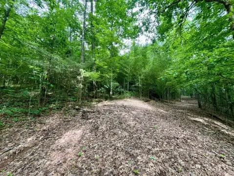 Vacant Land Near Downtown Birmingham