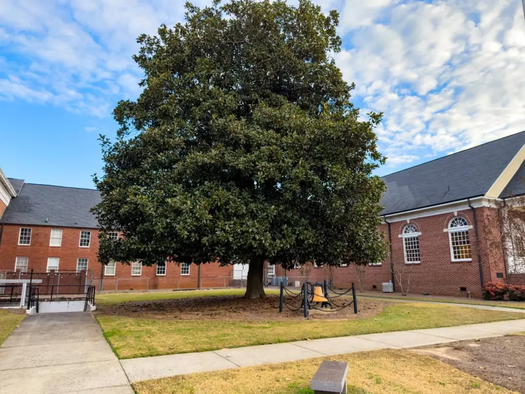 Picture 25