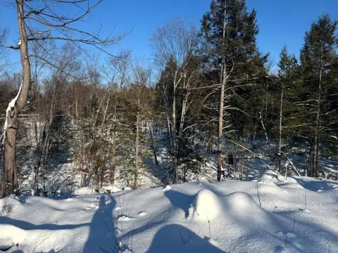 5-Acre Wooded Land in Camden