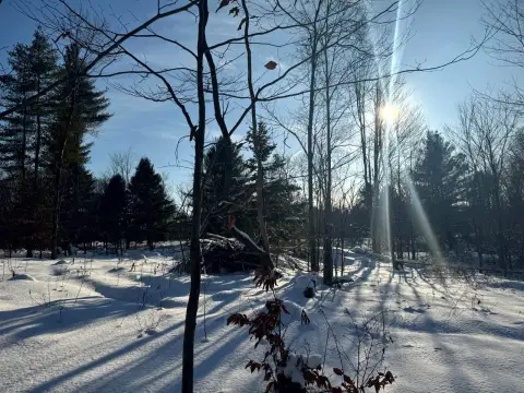 5-Acre Land in Camden, NY