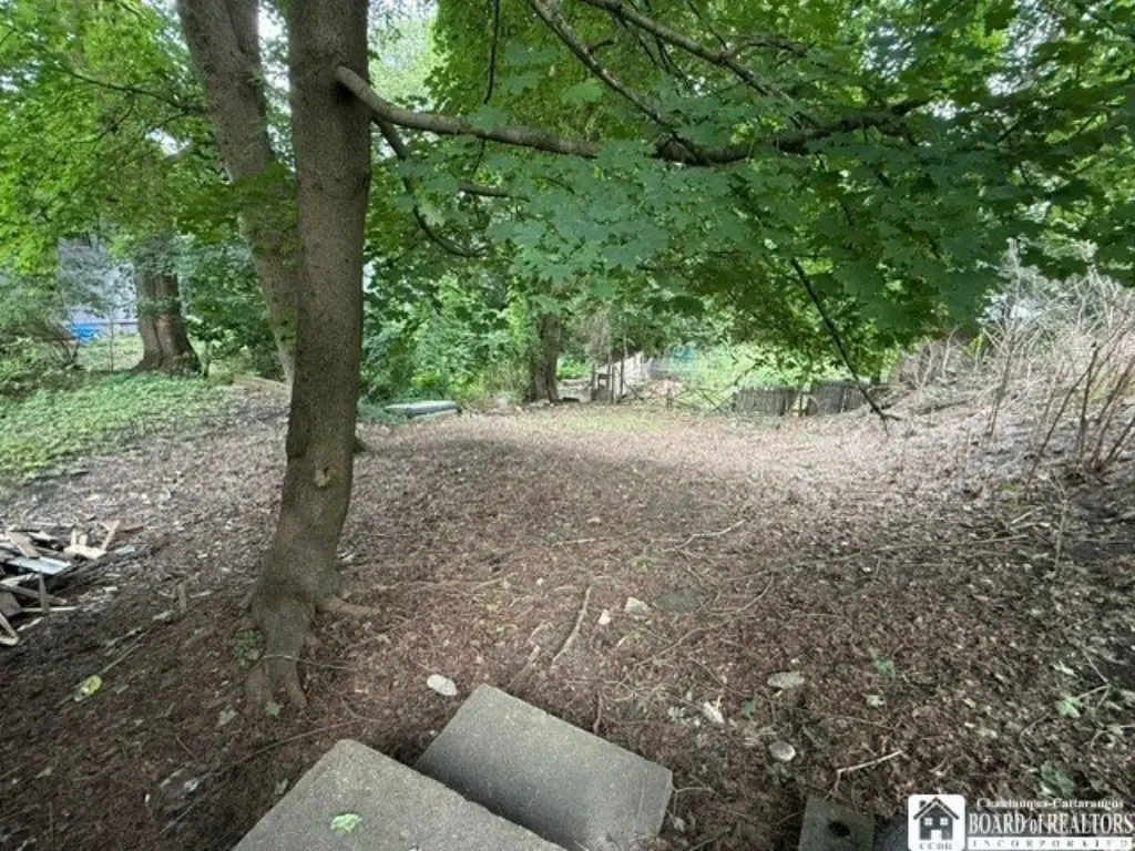 Picture 45