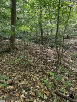 Residential Lot Near Downtown Greenville