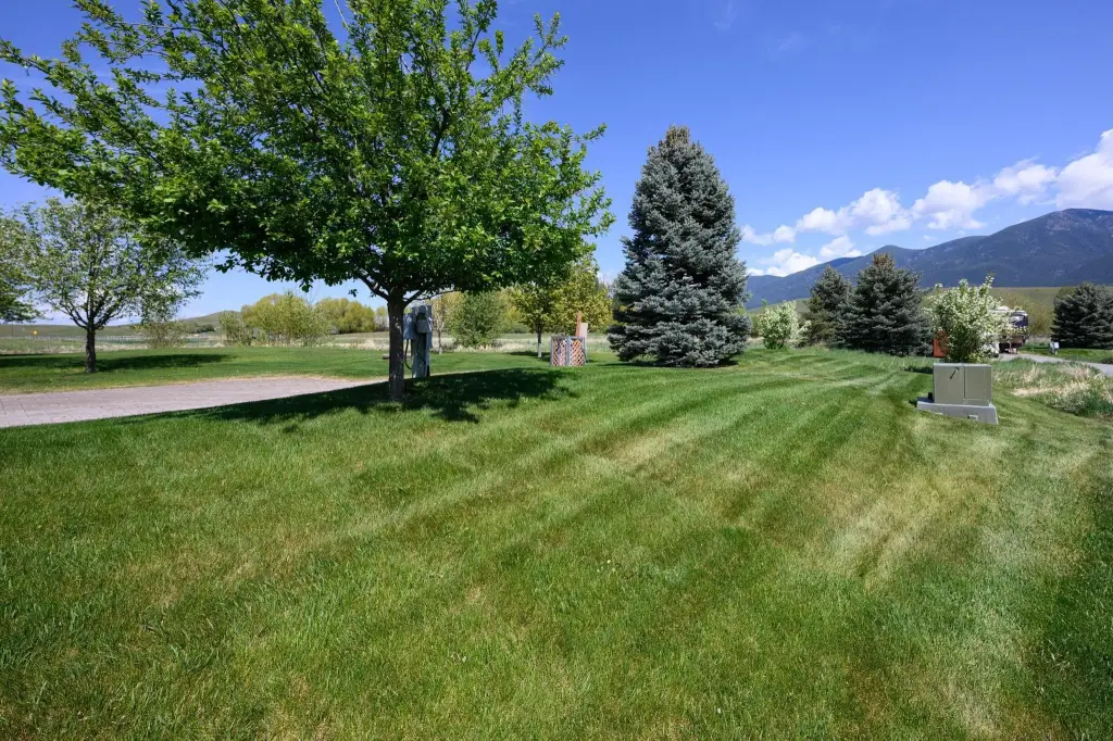 Picture 18