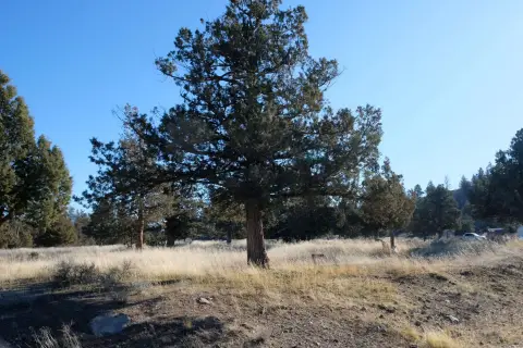 Corner Lot in Weed, CA