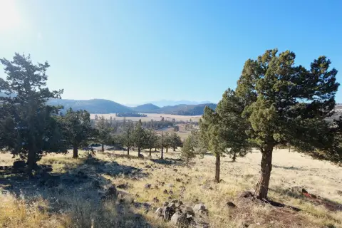 View Lot in Weed, CA