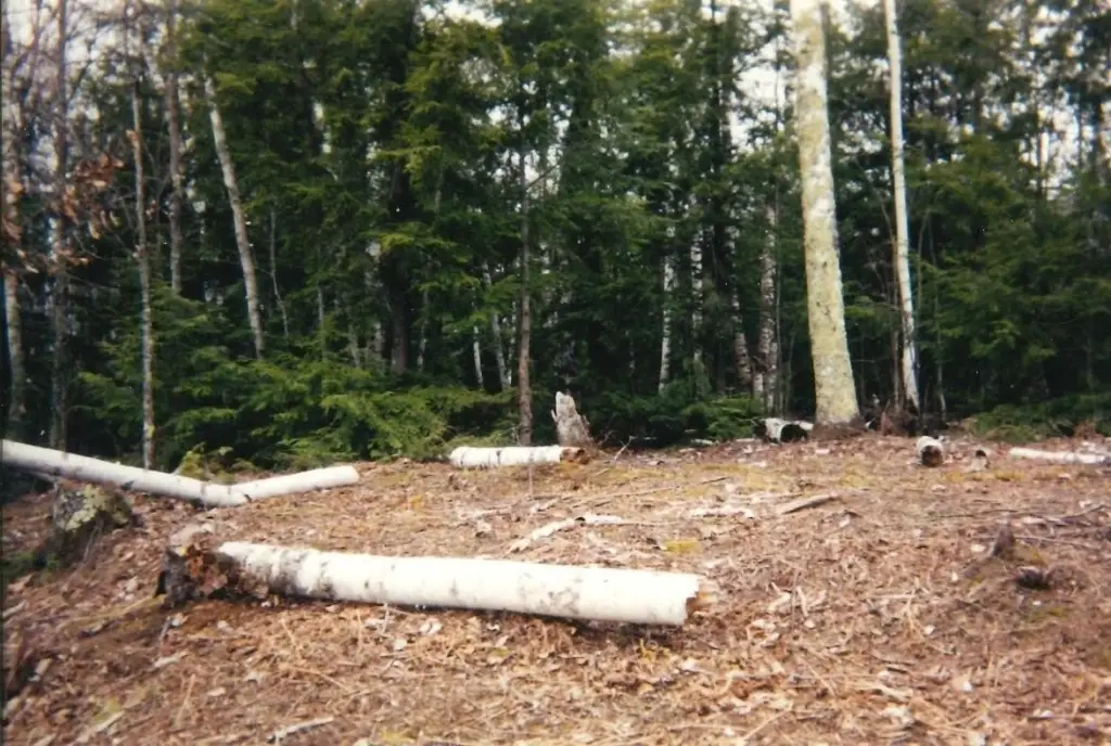 Picture 15