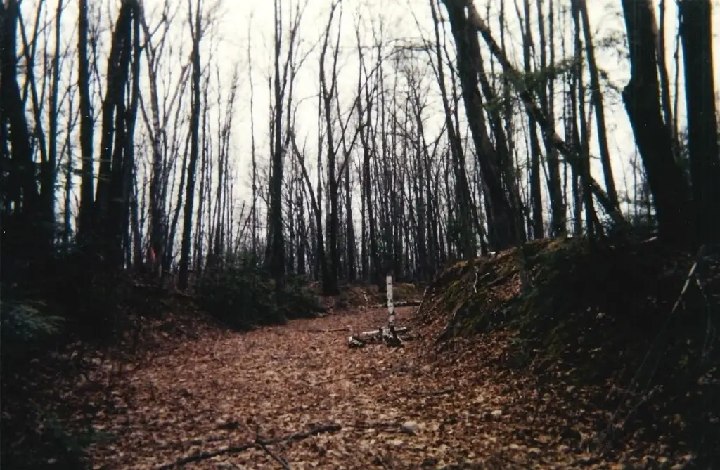 Picture 14