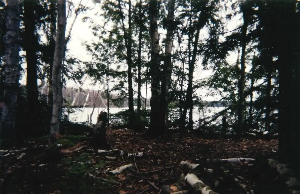 Picture 13