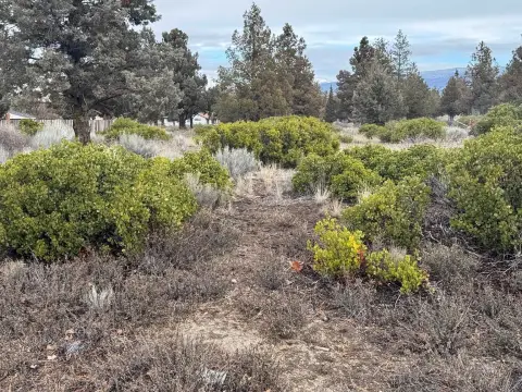 Level Lot in Weed, CA