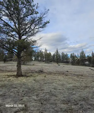 Hornbrook Land with River Access