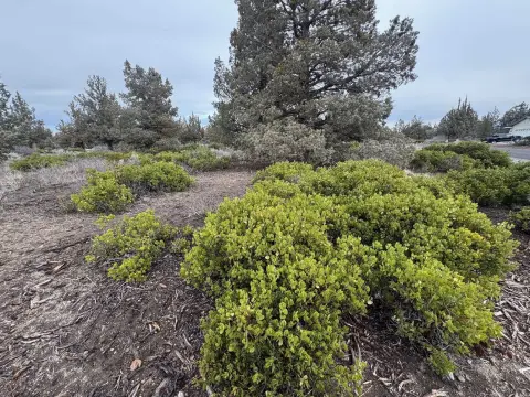 Level Lot in Residential Community