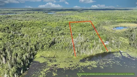 Wooded Waterfront Land