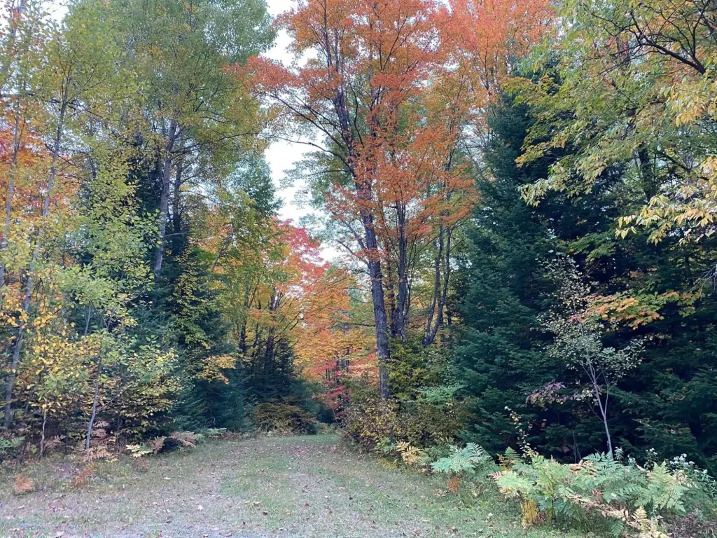 Picture 20