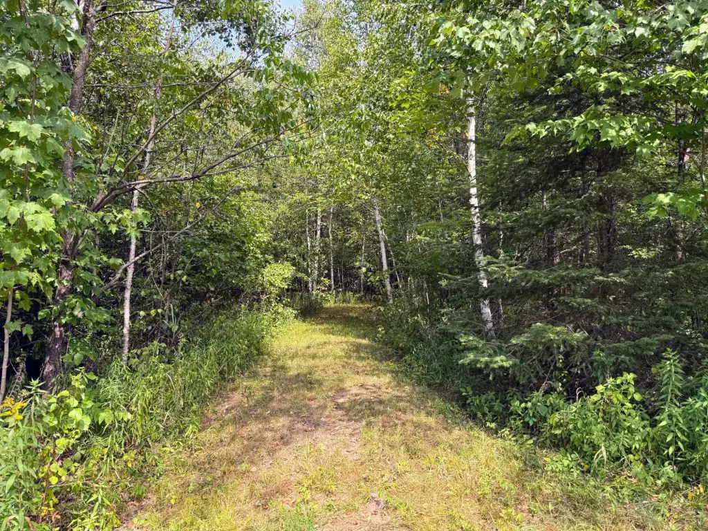 Picture 19