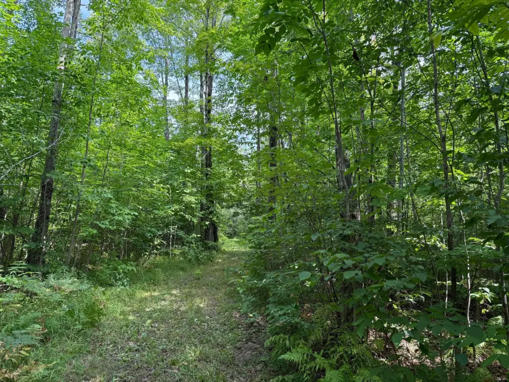 Picture 27