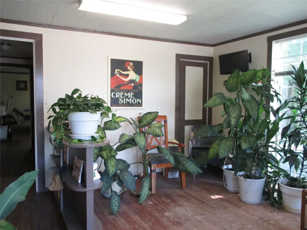 Picture 30