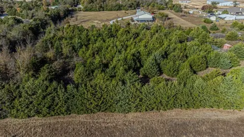 Wooded Land in Campbell, TX