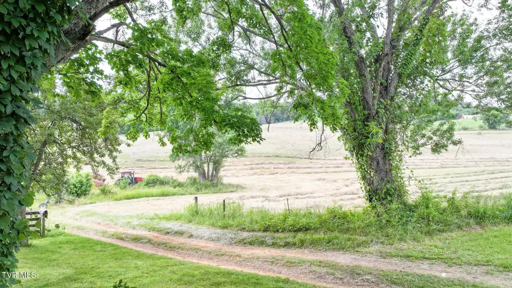 Picture 36