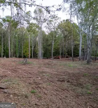 Madison, GA Land Opportunity
