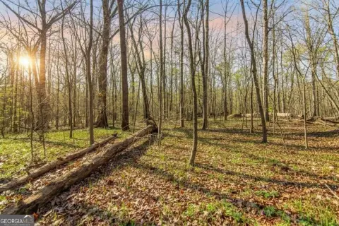 Ellijay, GA Six Acre Land