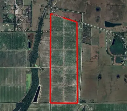 307-Acre Agricultural Land in Arcadia
