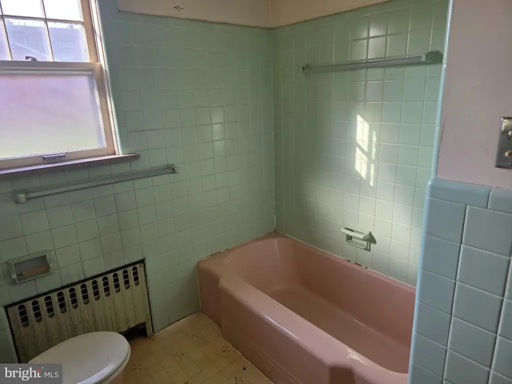 Picture 14