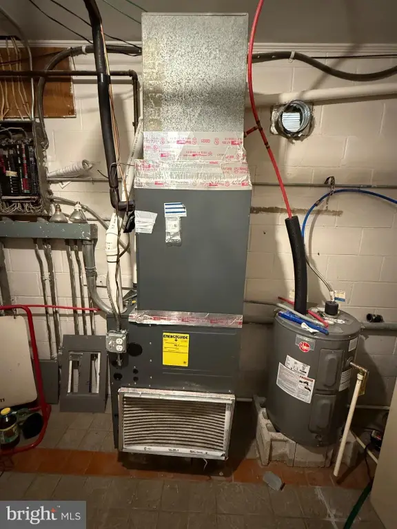 Picture 17