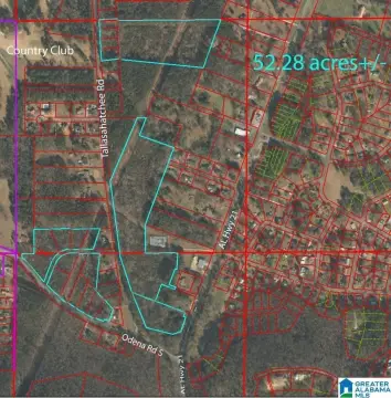 52.28 Acres Sylacauga Investment Property