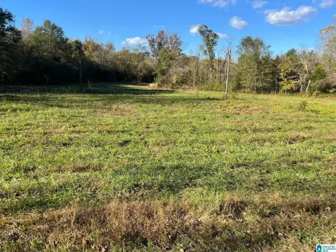 Pinson Acreage with Natural Features
