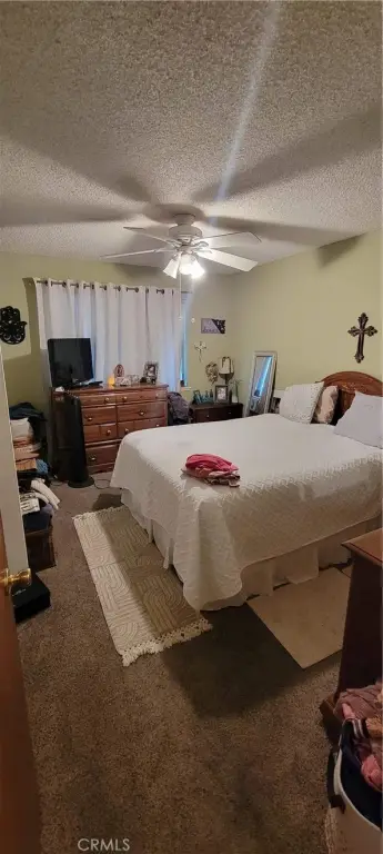 Picture 17
