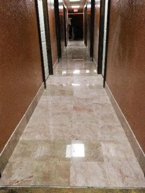 Picture 12