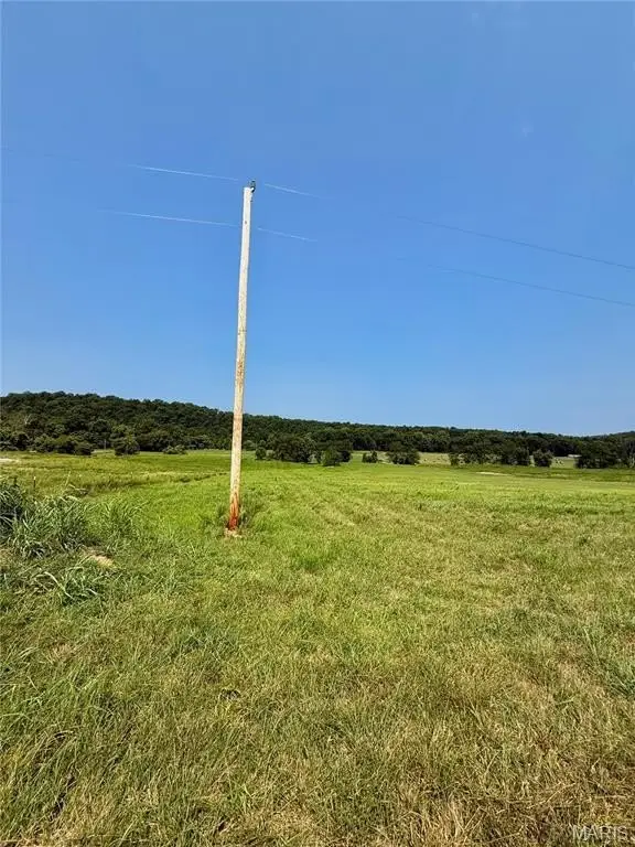 Picture 21