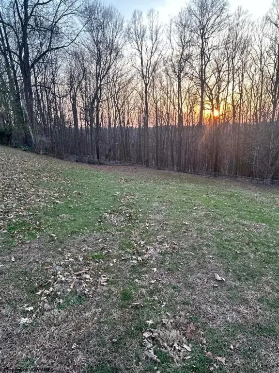 Picture 8