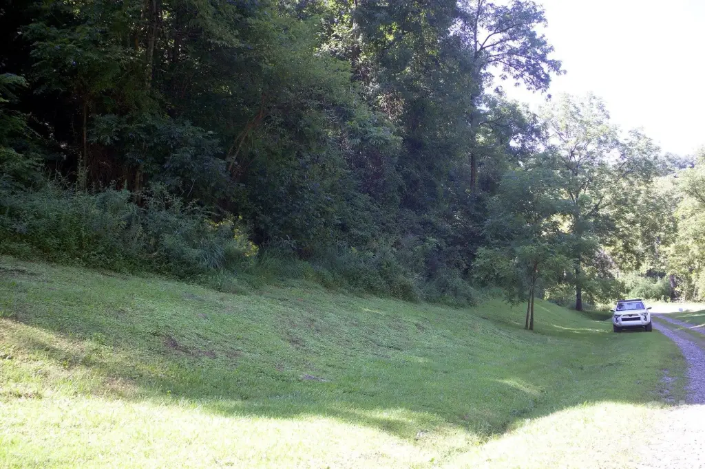 Picture 11