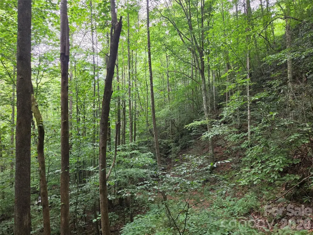 Picture 32