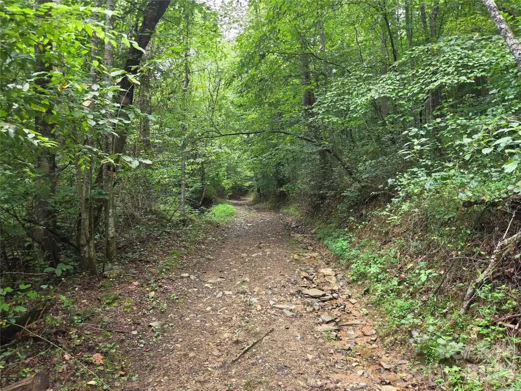 Picture 28