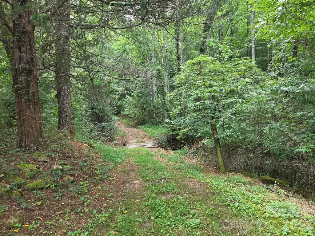 Picture 25