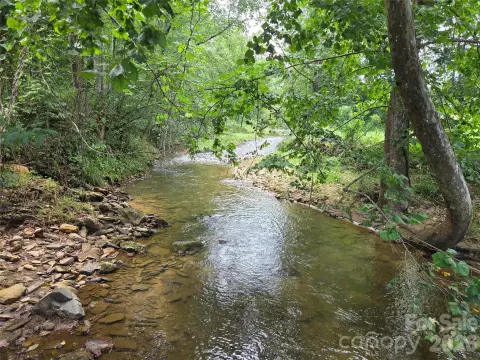 Waterfront Land with Mature Timber