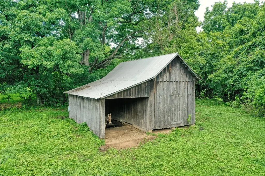 Picture 12