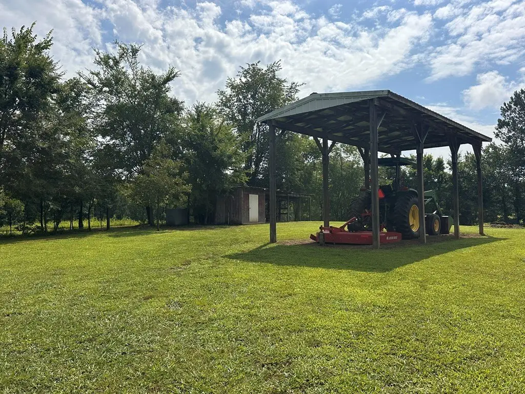 Picture 25