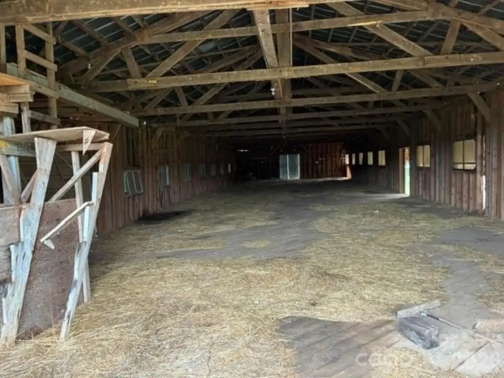 Picture 13