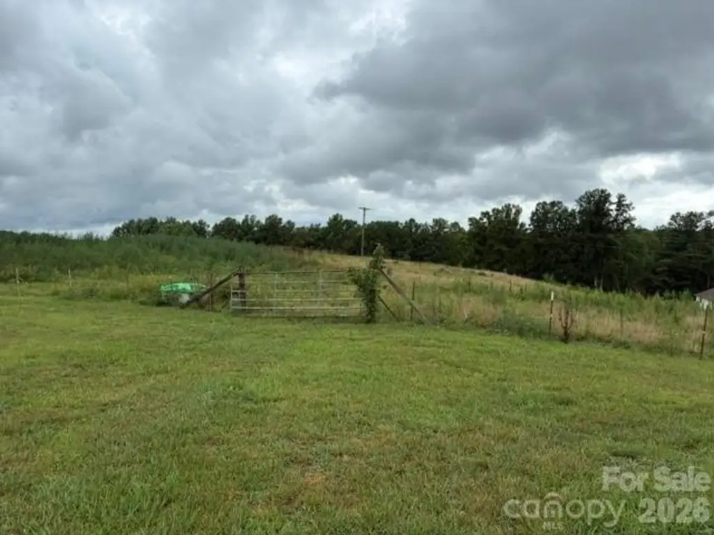 Picture 9