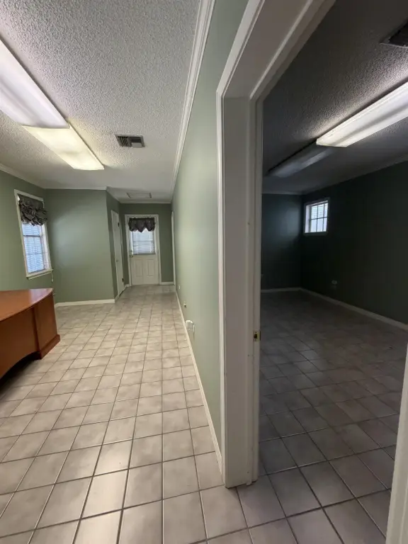 Picture 24