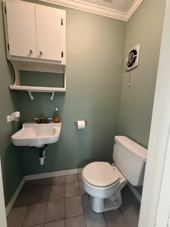 Picture 27