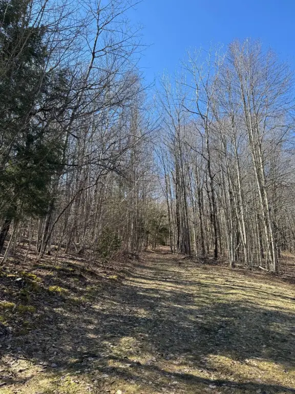 Picture 7