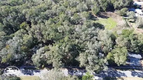 Lady Lake Vacant Land Opportunity