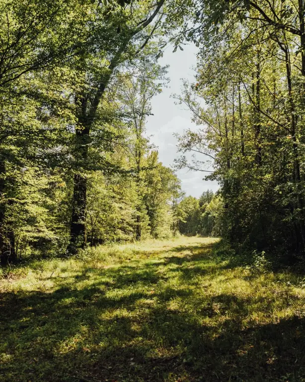 Picture 17